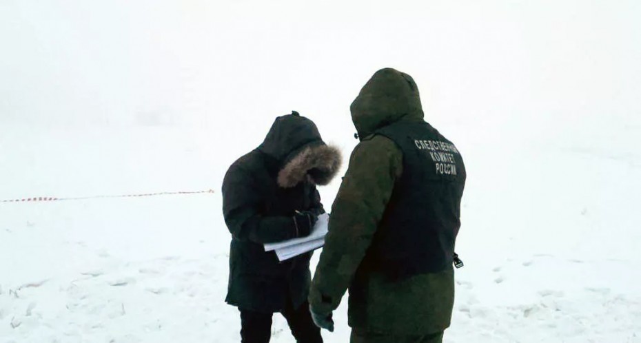 Руководителя СЭГХ и главу Автодорожного округа Якутска временно отстранили от работы в связи с делом о нападении собак