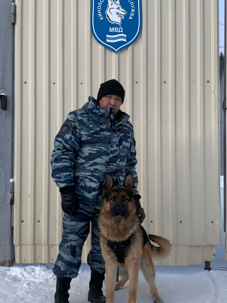 В Якутии полицейский-кинолог и его розыскная собака Лингард раскрыли убийство «по горячим следам»