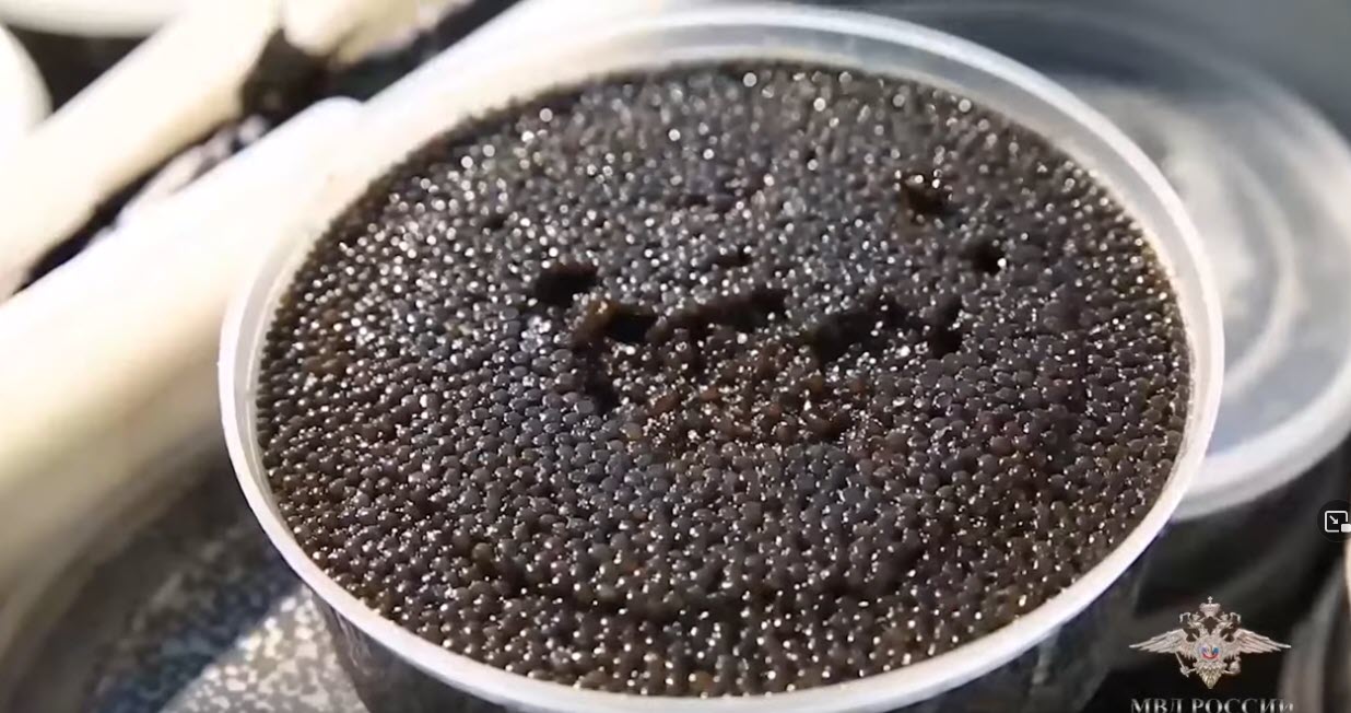 В Якутии дело браконьеров, добывших рыбу и черную икру на 104 млн, отправлено в суд