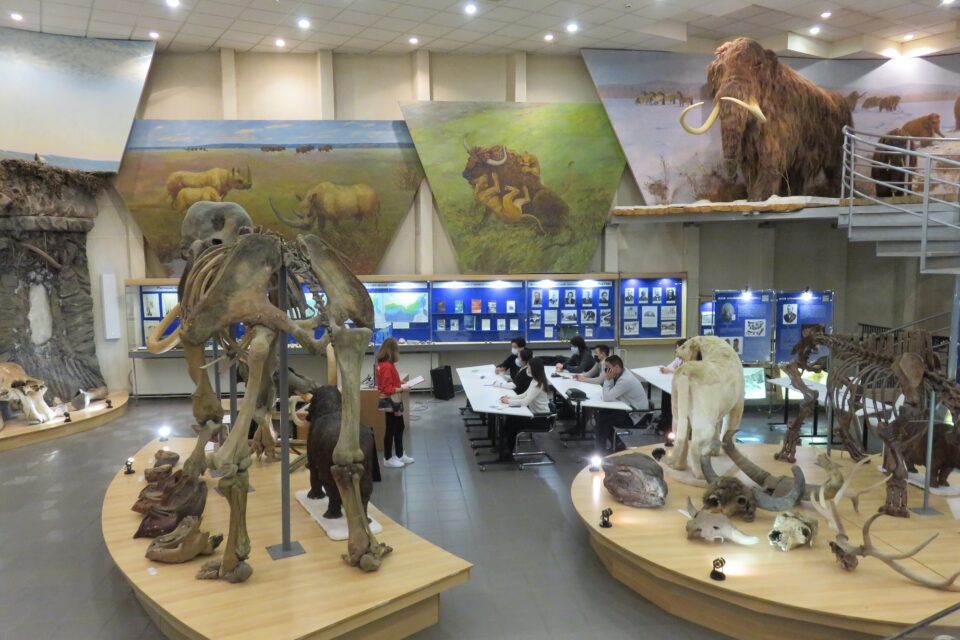 В Якутии летом пройдет Международный мамонтовый форум