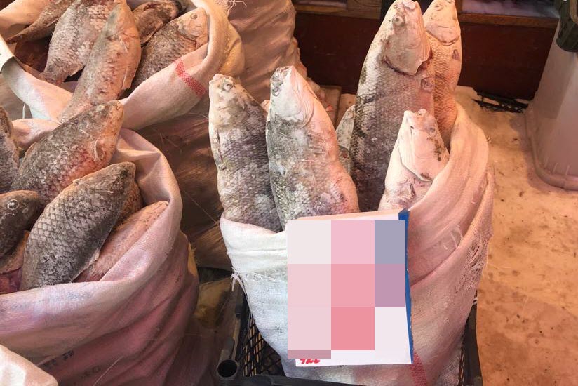 В Якутии предприниматель внесла ложные сведения о безопасности 24 тонн рыбы в ветеринарные сопроводительные документы
