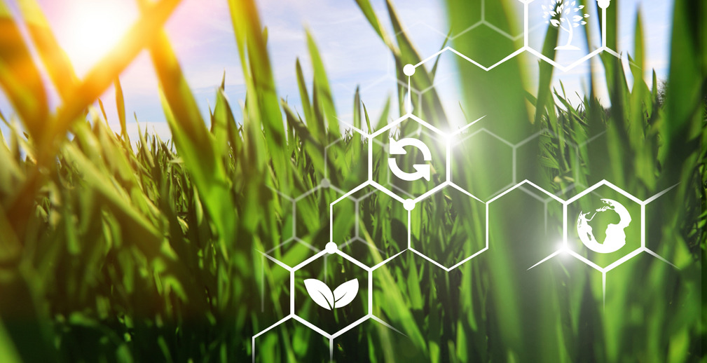 Киберпосевная: высокие технологии в помощь фермерам