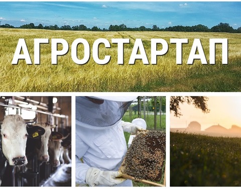Начался прием заявок на грант «Агростартап»