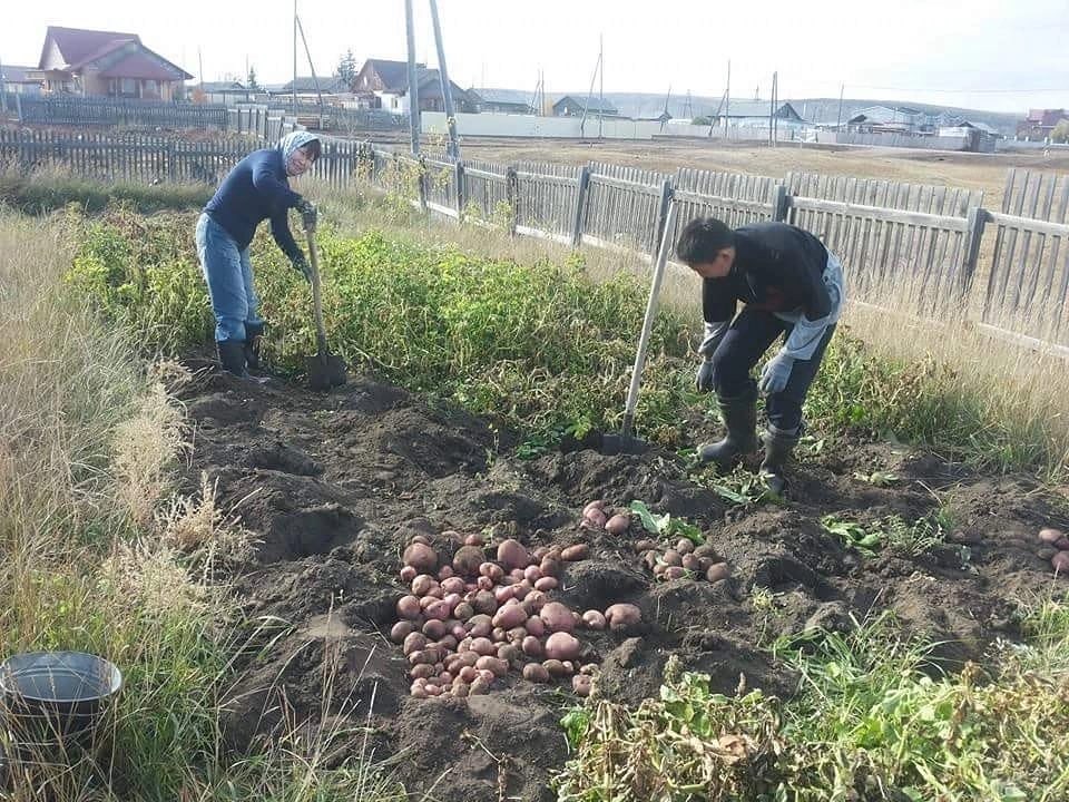 Депутат Покровска Иван Руфов: "Нам стало лень, и мы фактически забросили свое сельское хозяйство"