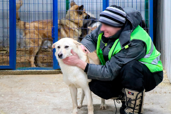 Осужденные ухаживают за животными в приюте