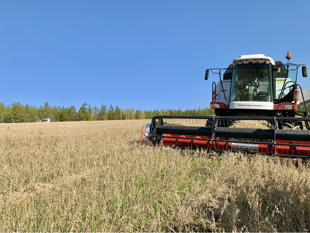 В Якутии растениеводам помогут закупить семена для посева зерновых