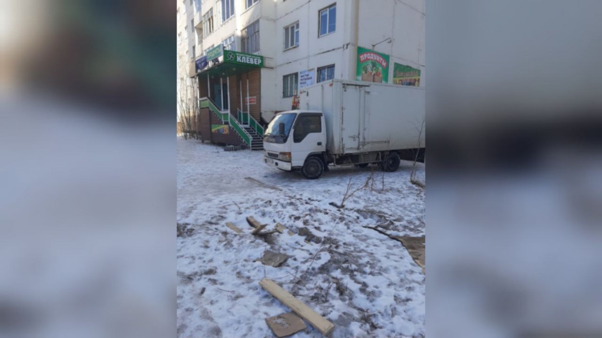 В Октябрьском округе Якутска не следят за посаженными деревьями