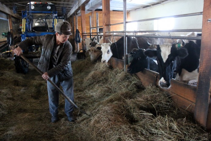 Почему молодежь Якутии не стремится в аграрии?