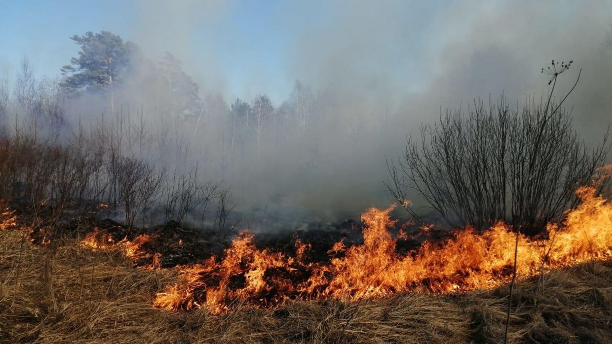 В Якутии действует один лесной пожар