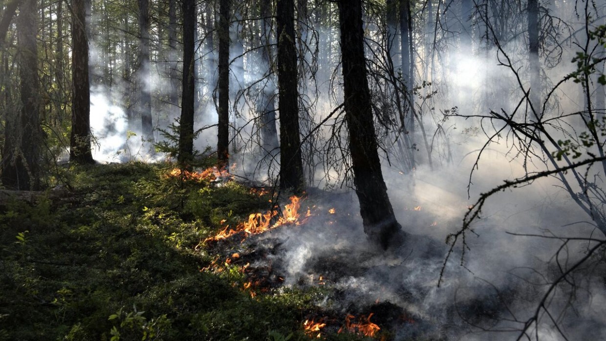 Три года подряд первые лесные пожары фиксируют в Якутске и Усть-Алданском улусе Якутии