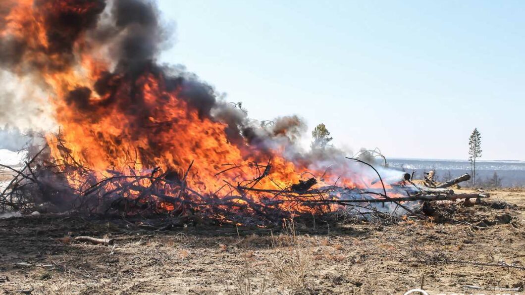 Владельцев земель Якутии обяжут тушить лесные пожары, введут запрет на весеннюю охоту