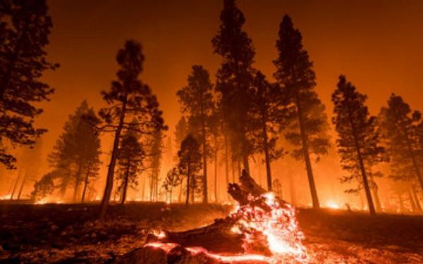 Минприроды РФ разработало норматив по выгоранию лесов. Якутии придется уложиться в 3,4 млн га