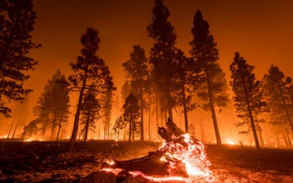 Минприроды РФ разработало норматив по выгоранию лесов. Якутии придется уложиться в 3,4 млн га