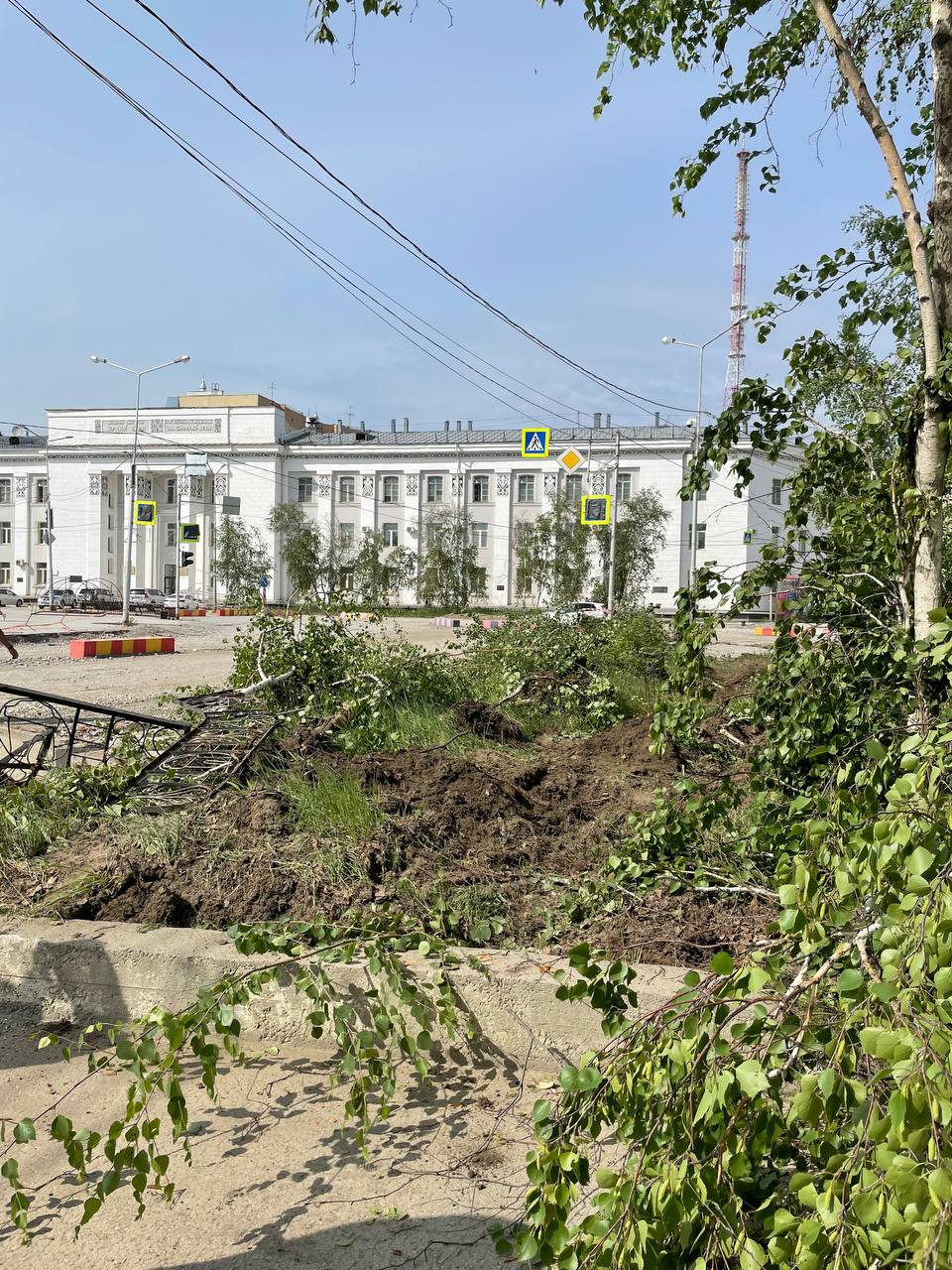 В Якутске посадят новые деревья на проспекте Ленина