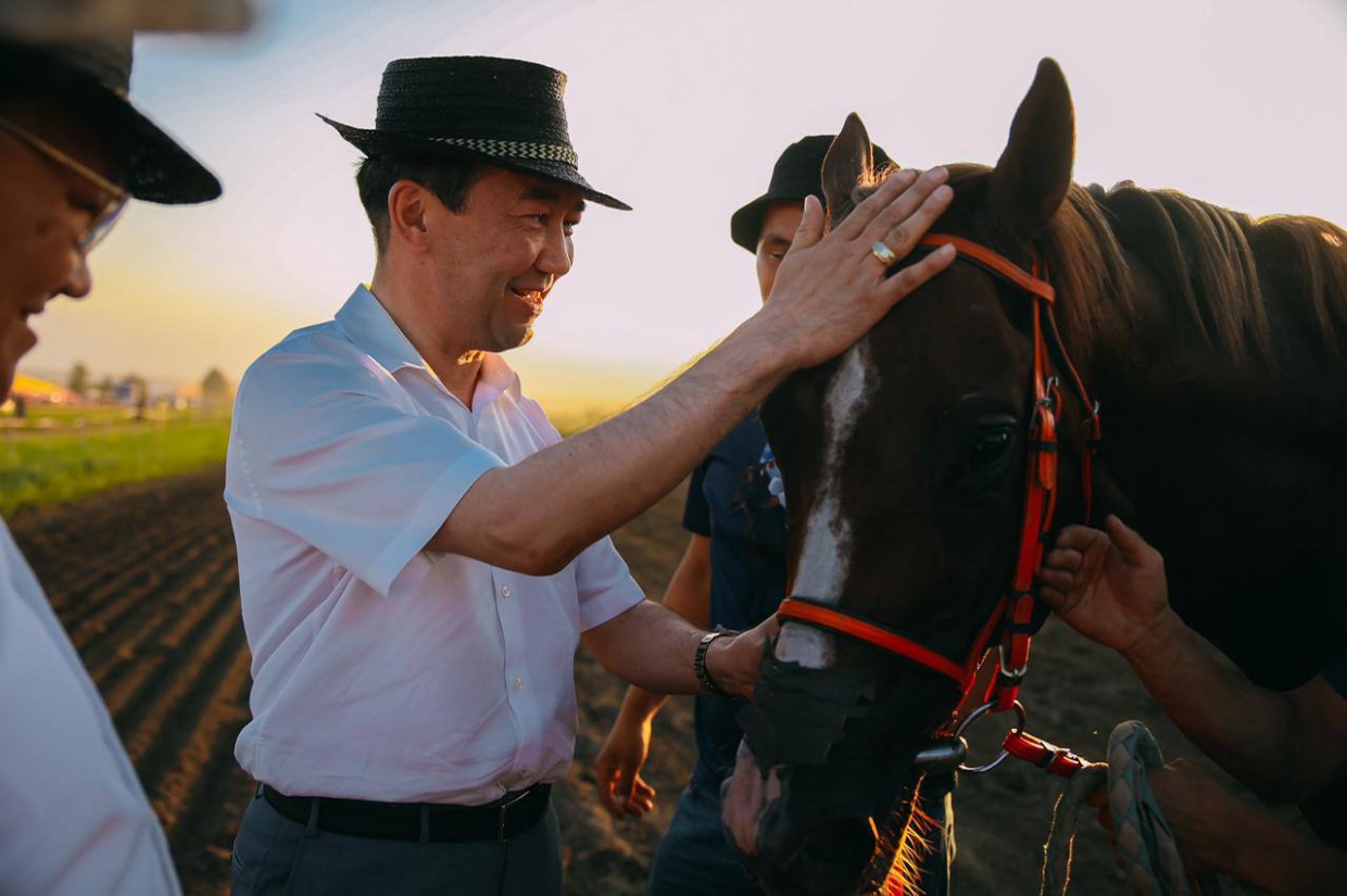 Победителем главного забега на приз главы Якутии стал жеребец Крит из Мегино-Кангаласского улуса