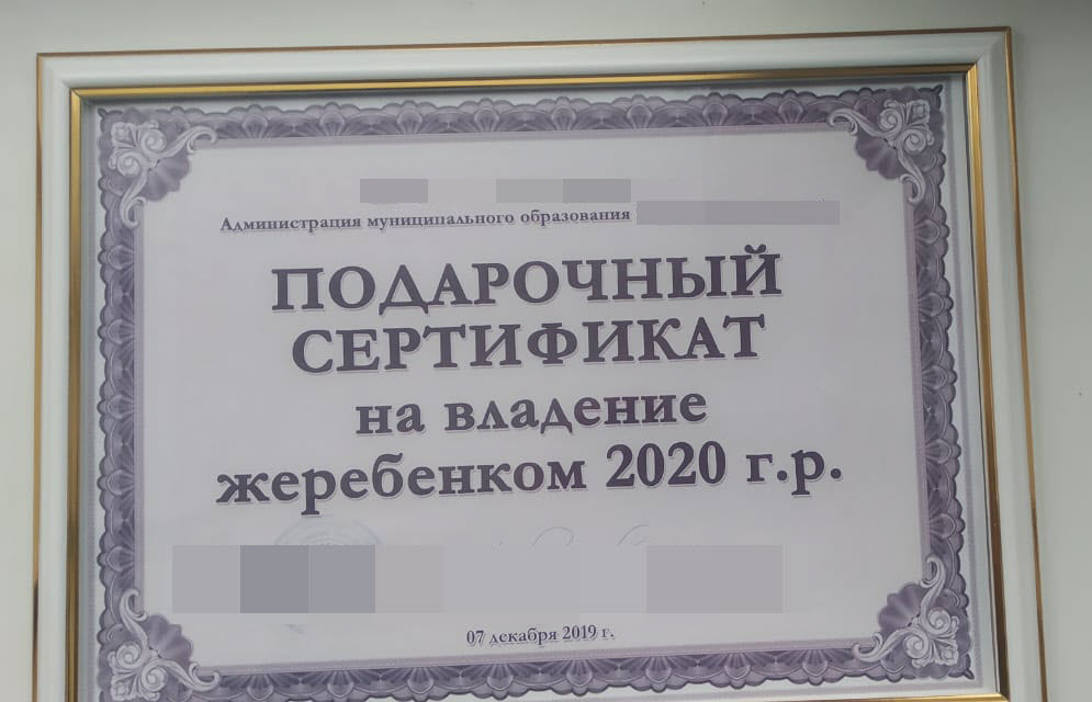 Лохотрон с сертификатами, или Как глава села придумал обманную схему поощрения  земляков