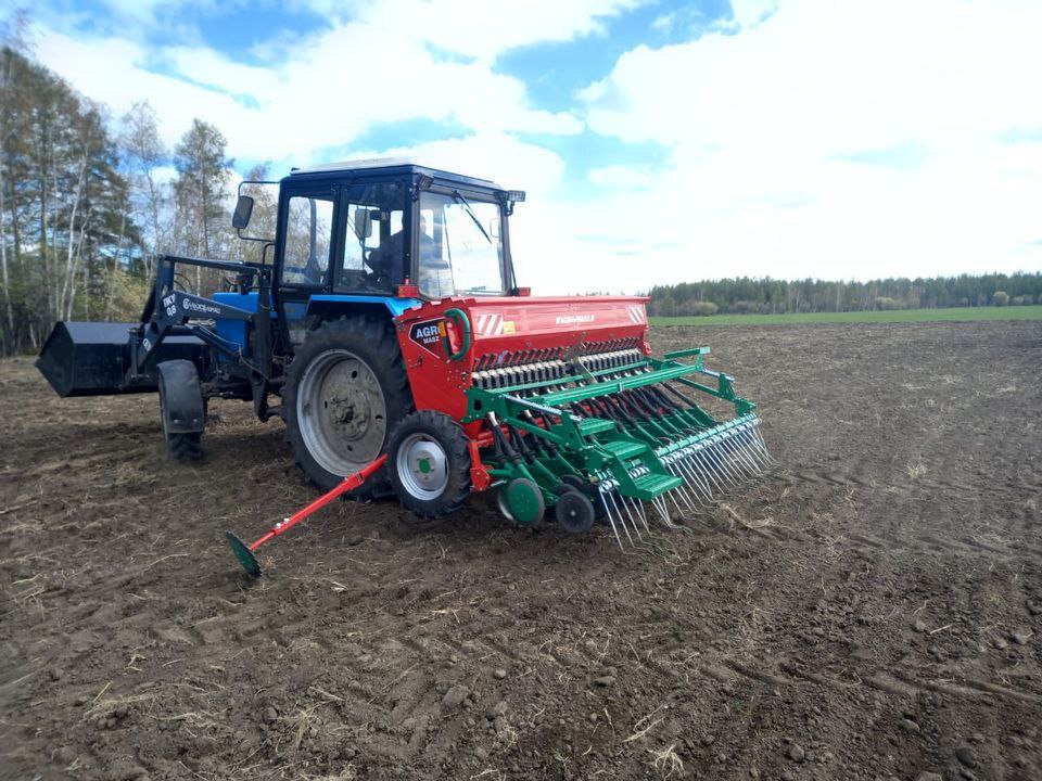 Господдержка для картофелеводов и овощеводов: новые субсидии для КФХ и ЛПХ