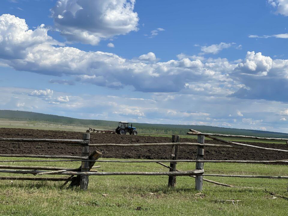 Малым фермерам дадут сельхозземлю в аренду без торгов