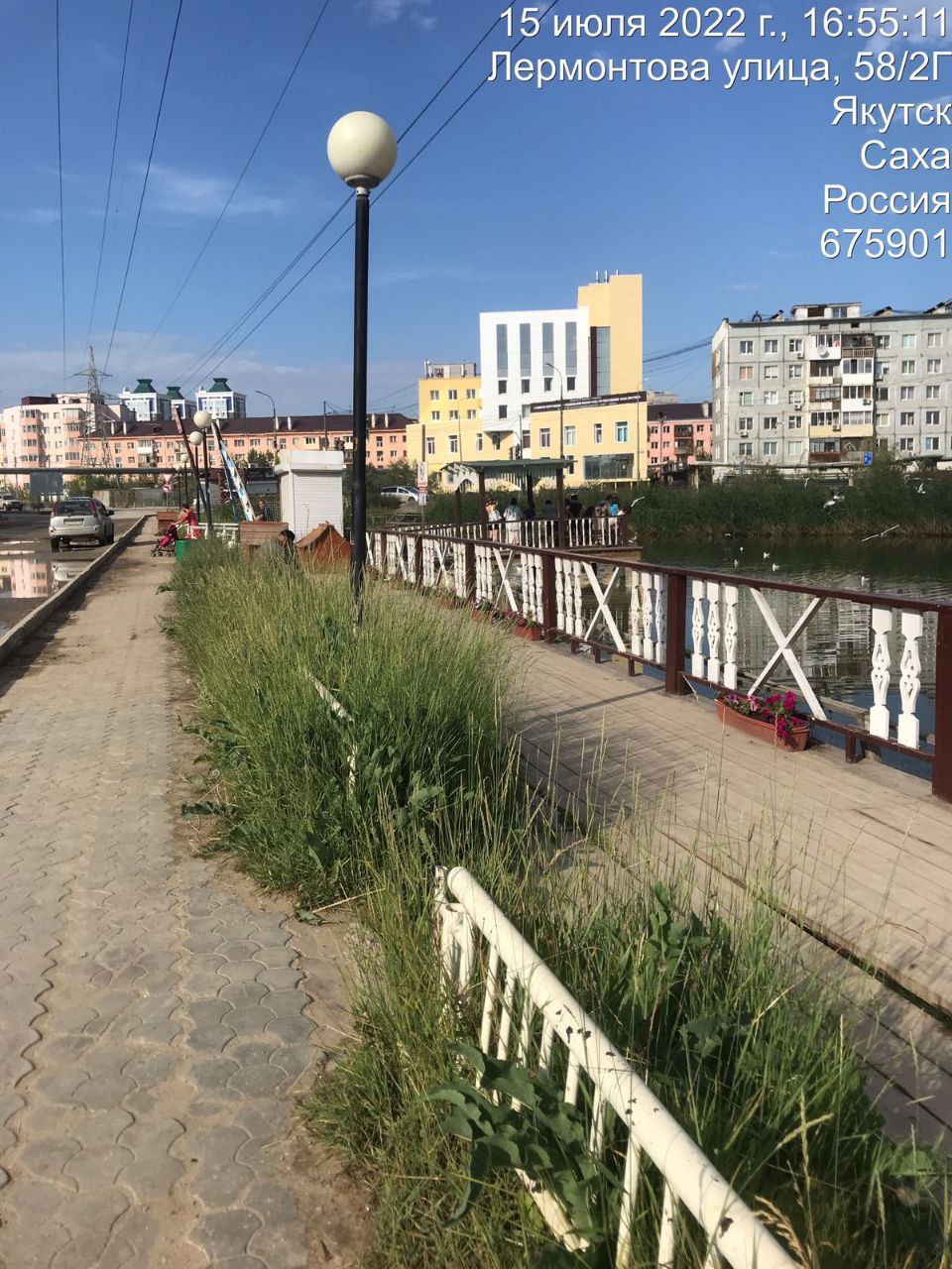 Создатели Лебединого парка в Якутске просят соблюдать порядок на озере Щорса