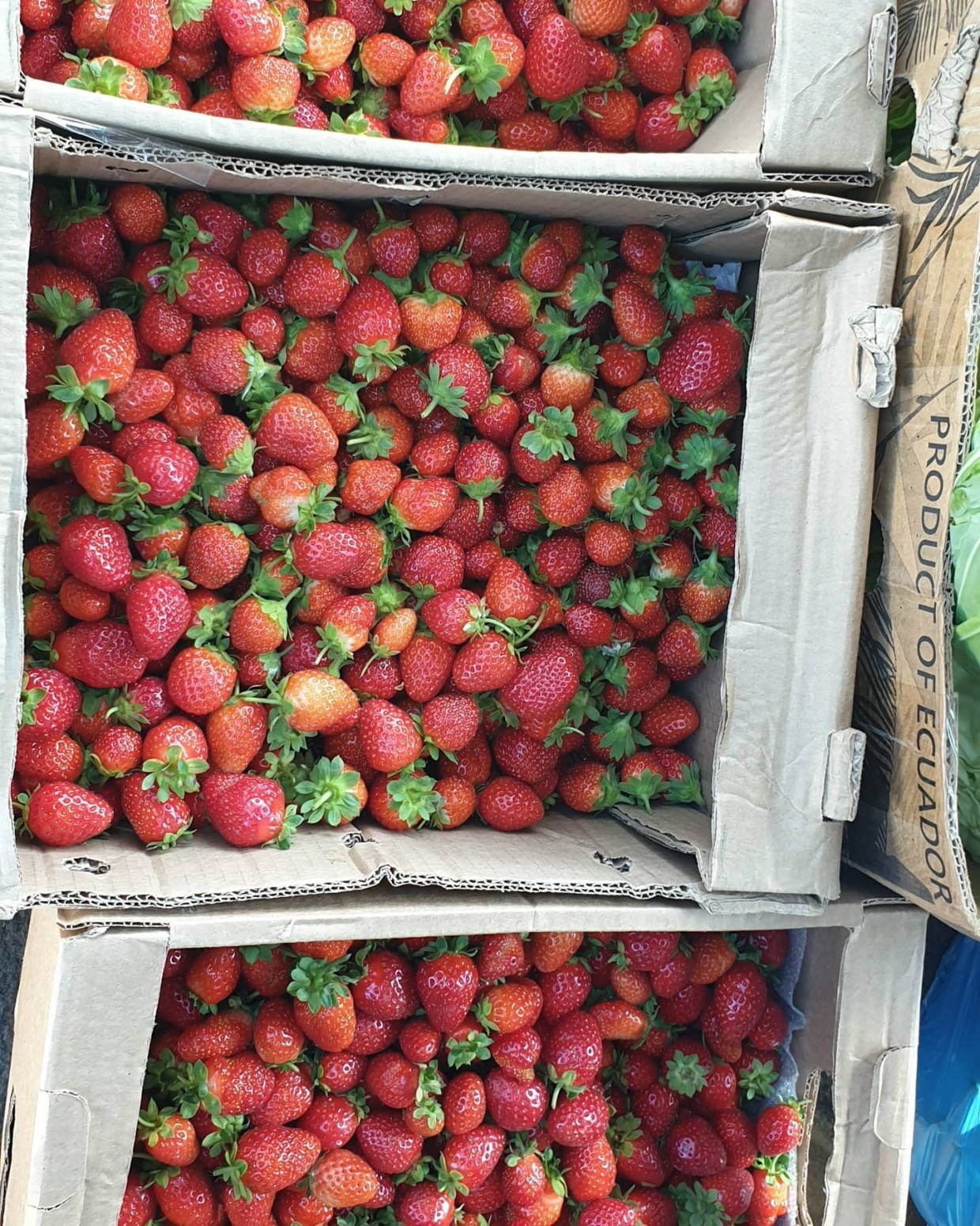 Почем клубничка в Якутске?