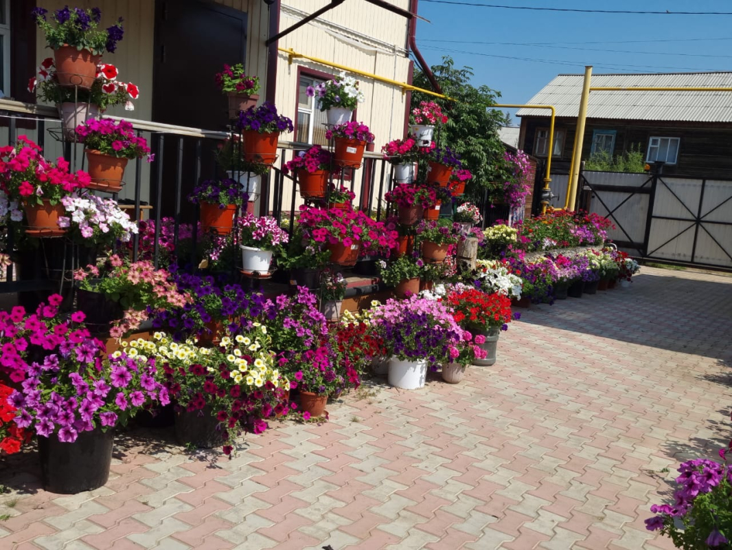 В Якутске продолжается конкурс на лучшее озеленение «Зеленый кубок столицы»