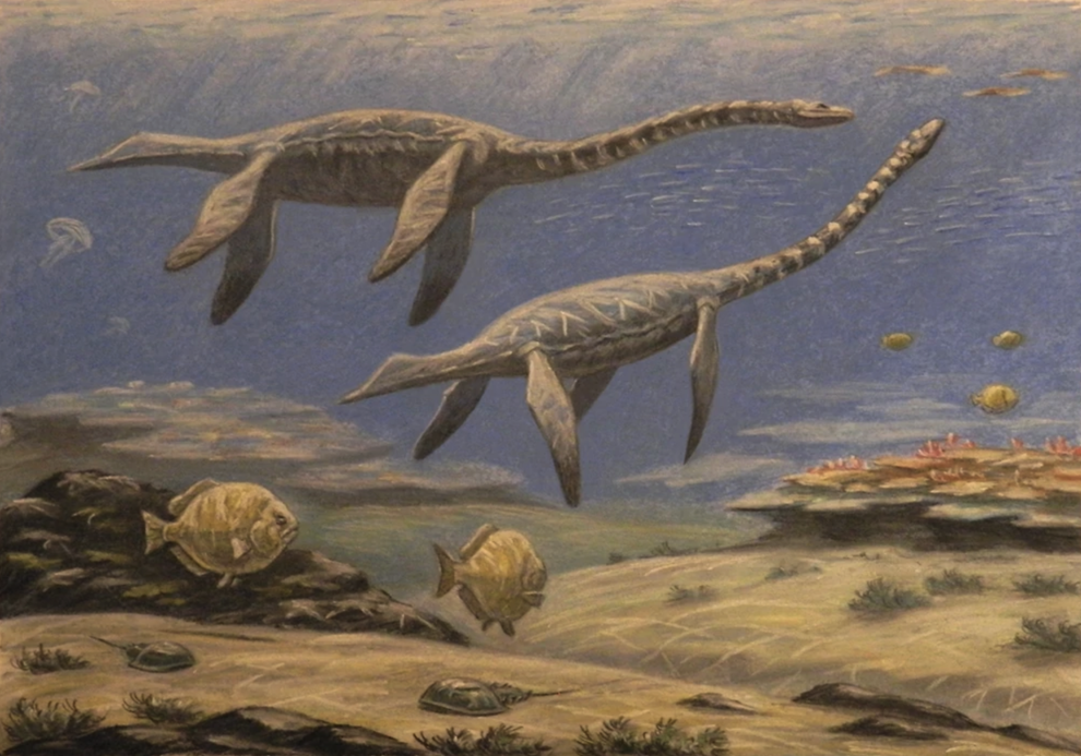 Динозавры жили миллионов лет назад. Plesiosaurus dolichodeirus. Динозавры морские Плезиозавр. Плезиозавр Юрского периода. Мезозавр Зденек Буриан.