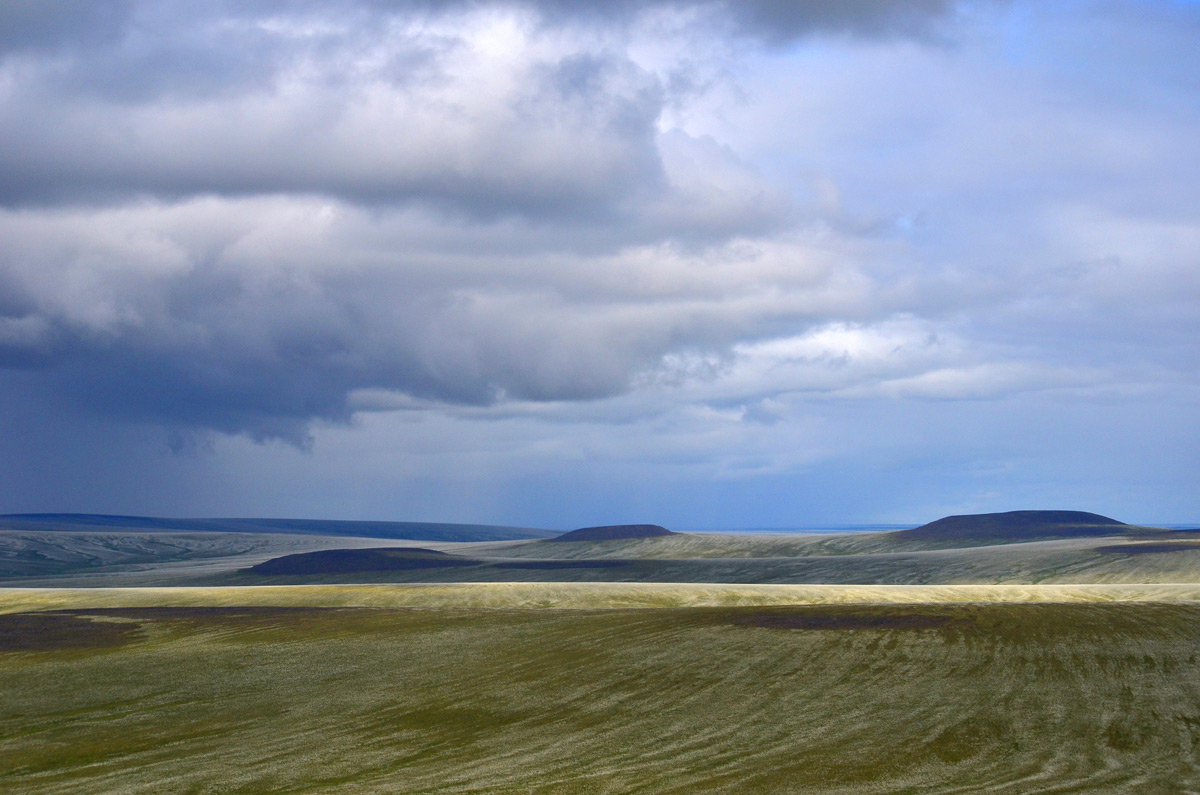 Вертолет на поиски пропавших оленеводов в Аллаиховском районе вылетит завтра