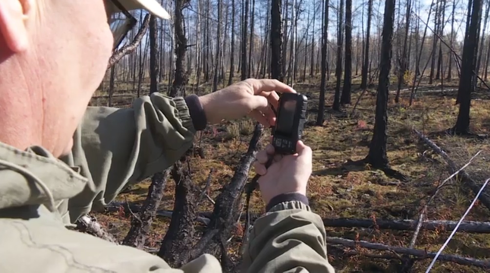 Ученые завершают полевые работы по исследованию влияния пожаров на экосистемы Якутии