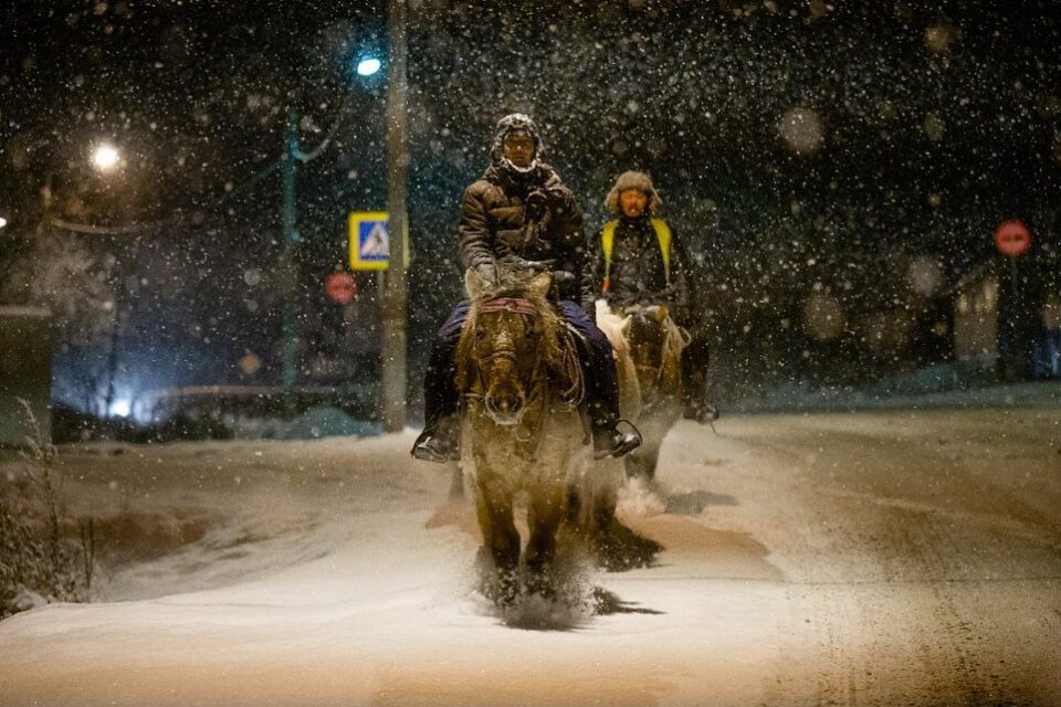 Лошади якутского коневода Дугуйдана Винокурова прилетят в Якутию на самолете