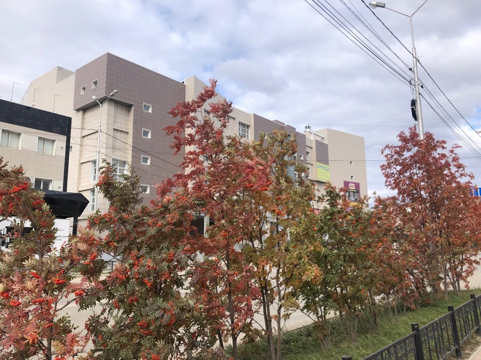 В Якутске ожидается ветер с порывами до 14 метров в секунду