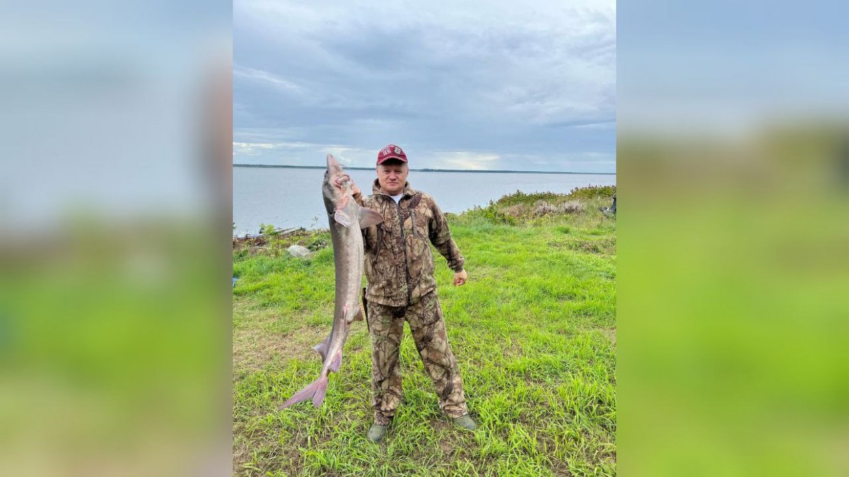 Задержание предпринимателя Юрия Кошелева не связано с рыбалкой и прежним уголовным делом