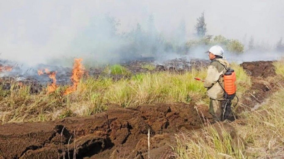 Счетная палата РФ проверит, как Якутия охраняет леса от пожаров