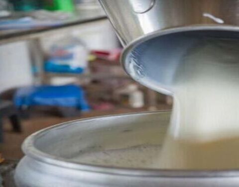 План заготовки молока в Якутии выполнен на 80%