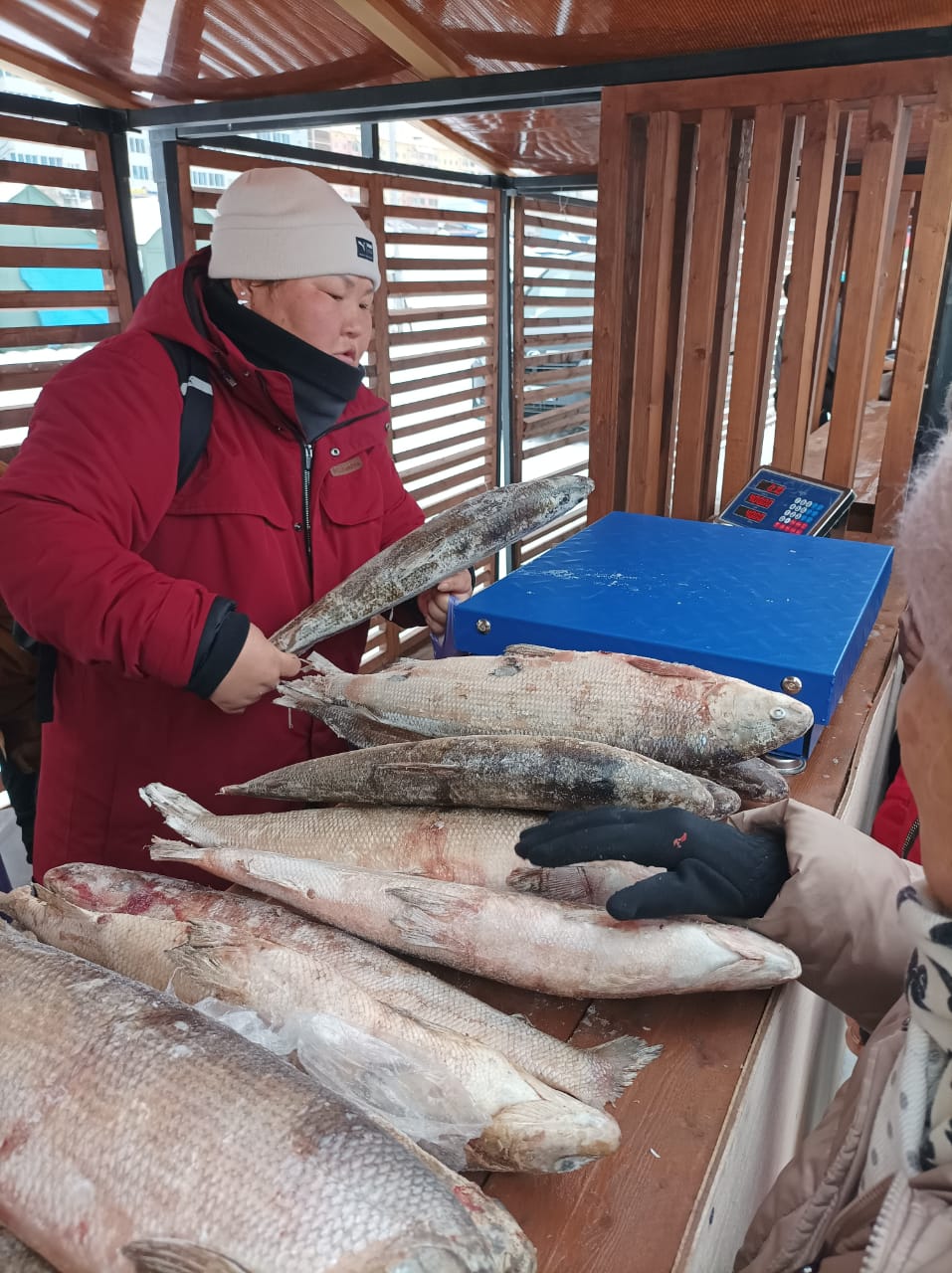 Почем рыба на ярмарке в Якутске? Продавцы тщательно скрывают цены