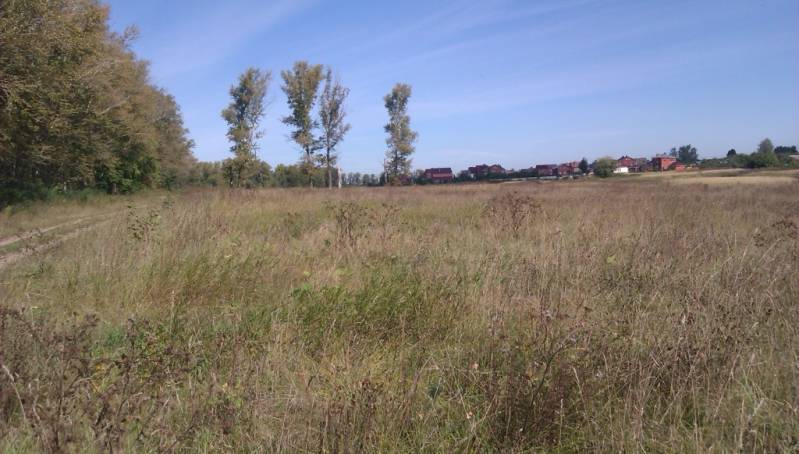 Правительство Якутии вместо земельных участков многодетным семьям предлагает 200 тысяч рублей