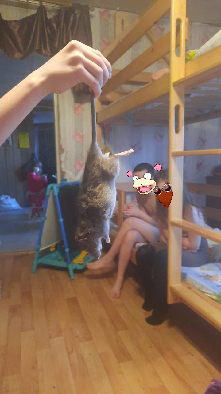 Председатель СК Александр Бастрыкин поручил проверить информацию об условиях жизни многодетной семьи в Якутске