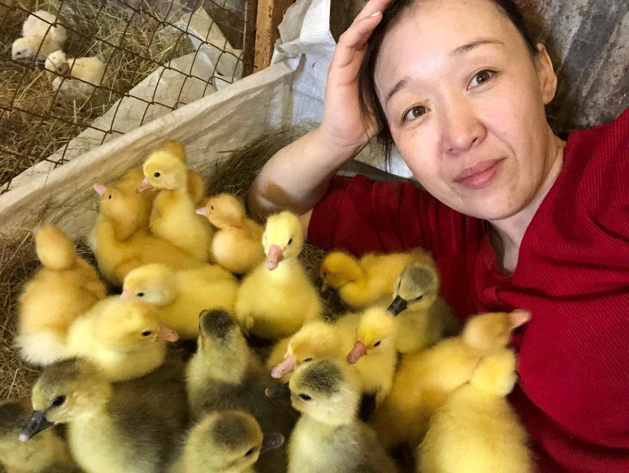 «Домашние птицы – наша отдушина». В Вилюйском районе откроется птицеферма