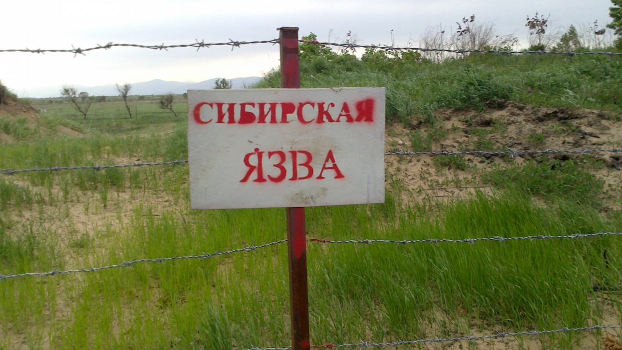 В Якутии имеется 293 очага сибирской язвы. Точные координаты установлены только у 34