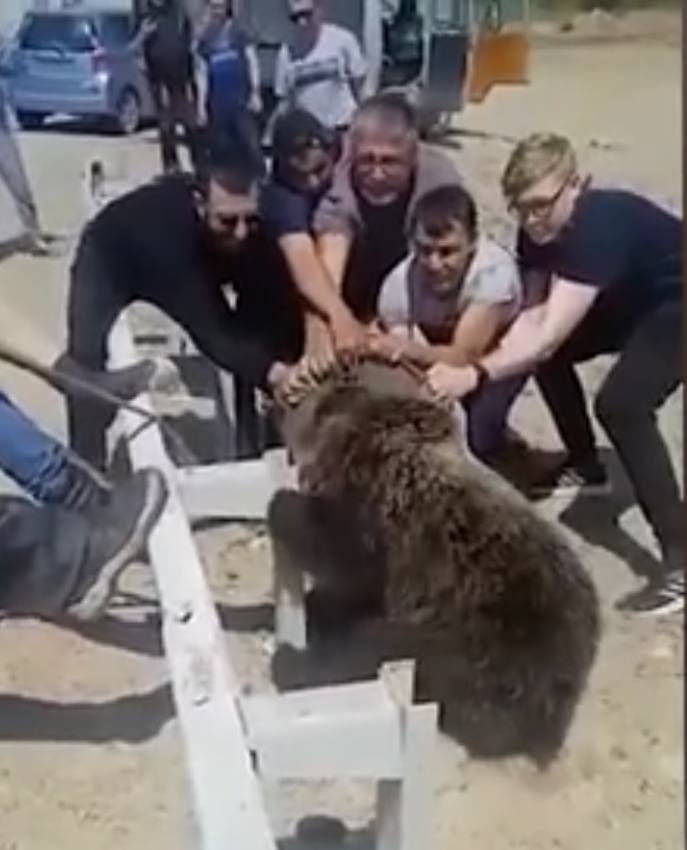 ТОП-5 добрых поступков якутян за 2022 год