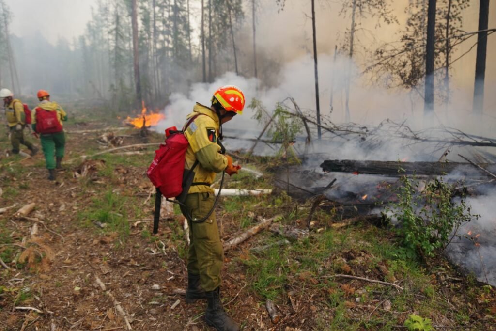 Минэкологии Якутии взыскало с «Якутскэнерго» почти миллион рублей, потраченных на тушение лесного пожара