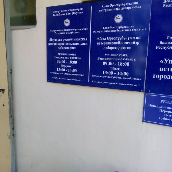 Департамент ветеринарии дал разъяснения о ситуации по бруцеллезу