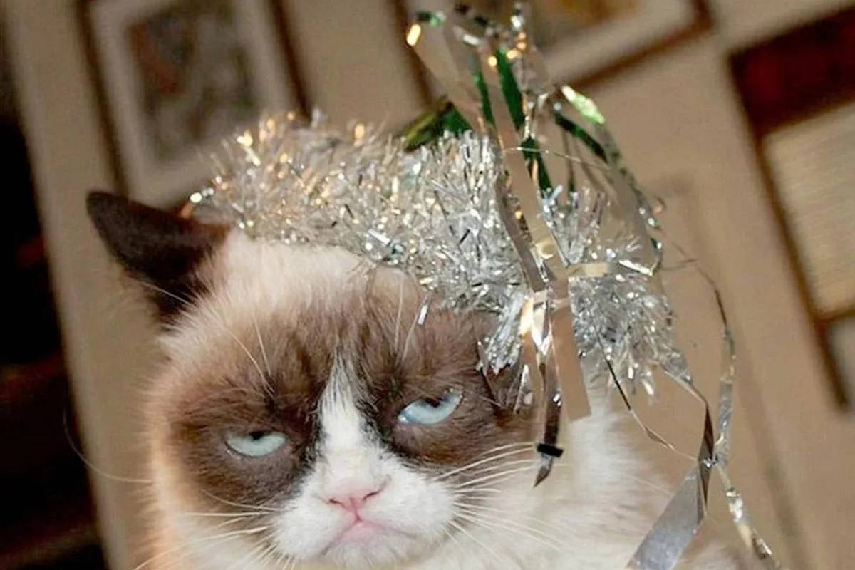 Посленовогодняя депрессия: как не раскиснуть на каникулах?