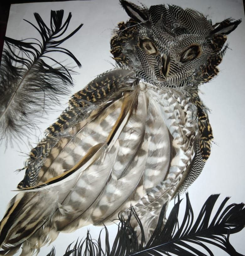 Фотофакт: Удивительные картины из утиных перьев создаёт жительница Оймяконья