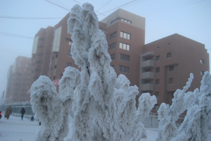 «Почему обманываете?» Горожанка требует очистить от снега улицу в Якутске
