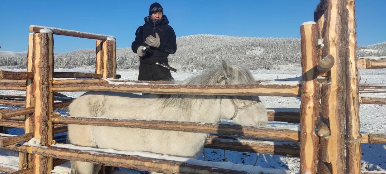 «Старт зависит от настроения строптивой лошадки»: Всадник Дугуйдан готовится к новому походу в Магаданскую область