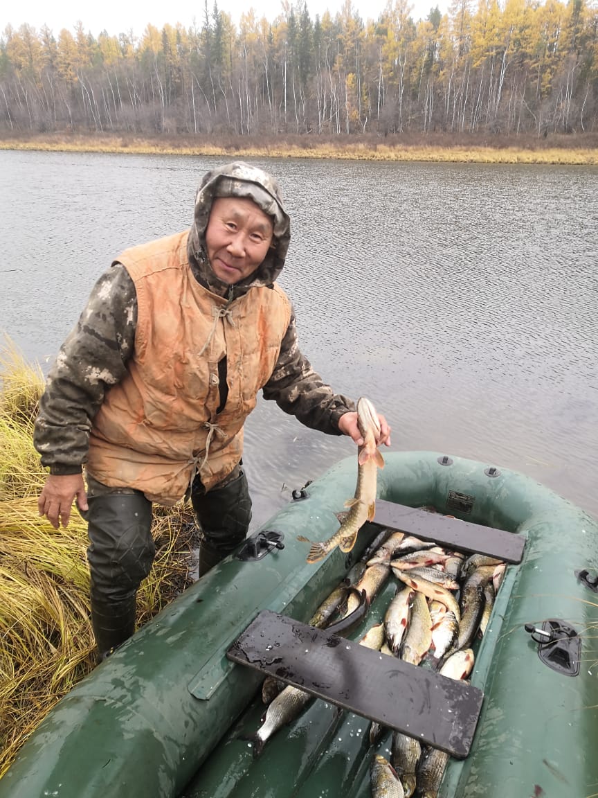 Сорок хвостиков и здравый смысл