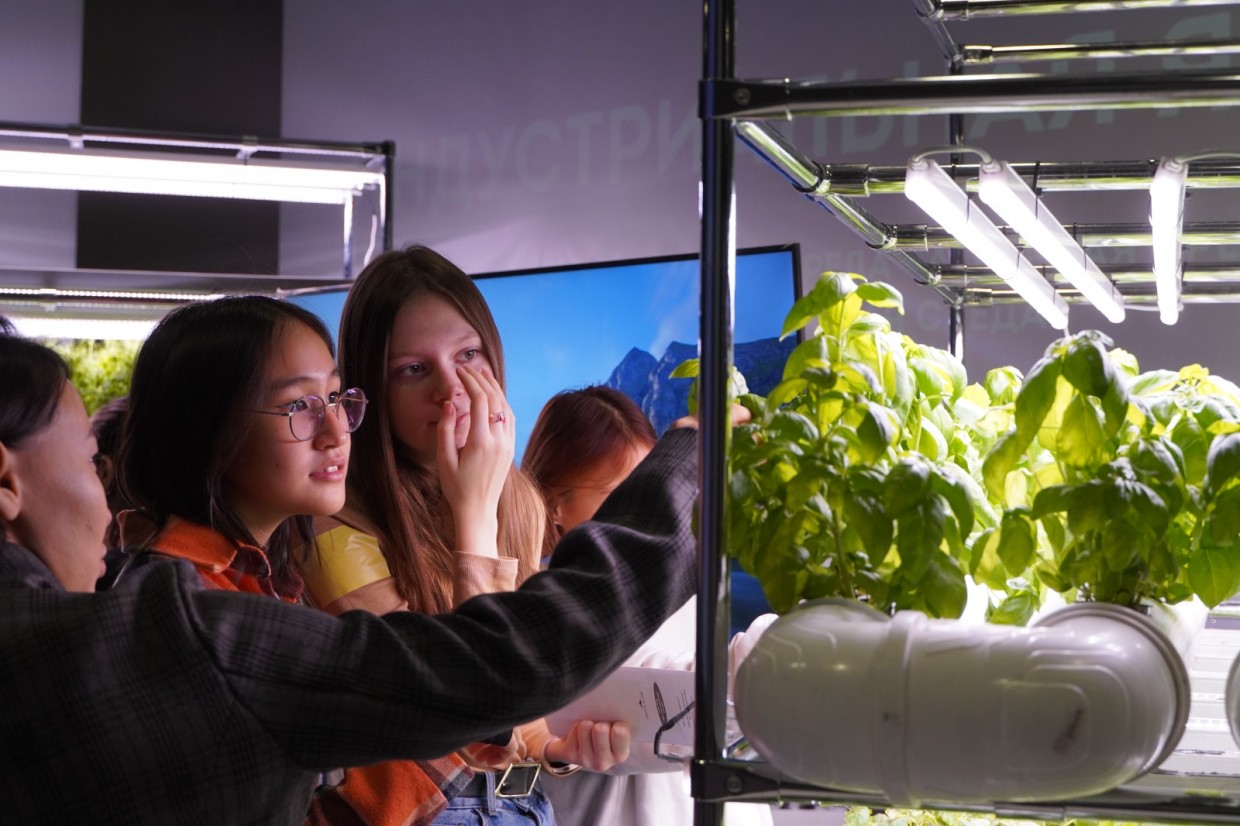 Проект «Дистанционная школа «Профи-Дирин» приглашает учащихся 10 -11 классов  освоить профессии