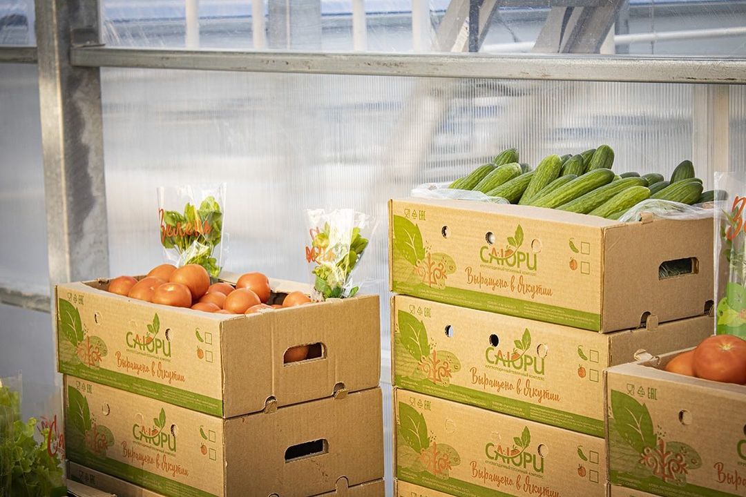 «Саюри» назвало овощников, выдающих привозные огурцы за местные