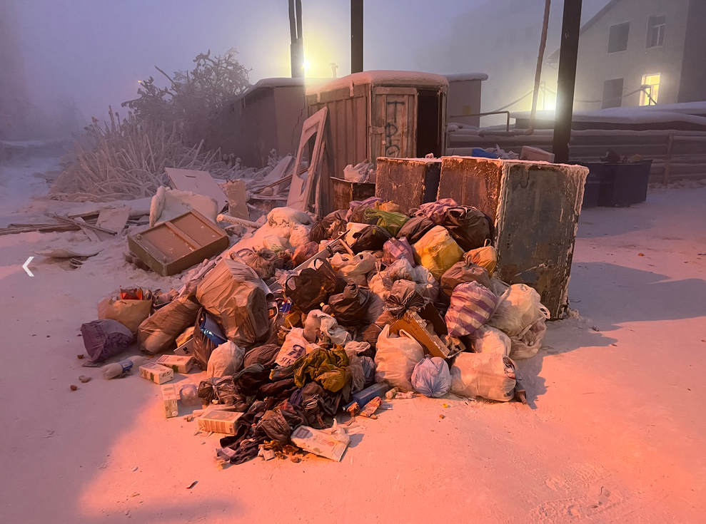 В центре Якутска из-за невывезенного мусора расплодились крысы