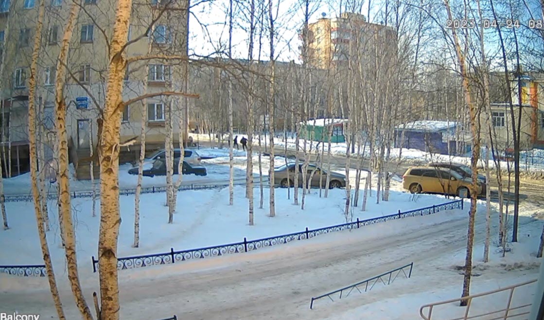 В Мирном мужчину изрезали мачете (видео)